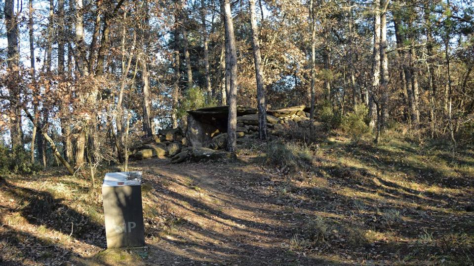 2 de Gener de 2018 Dolmen de la Pera  Ardèvol -  Ramon Sunyer