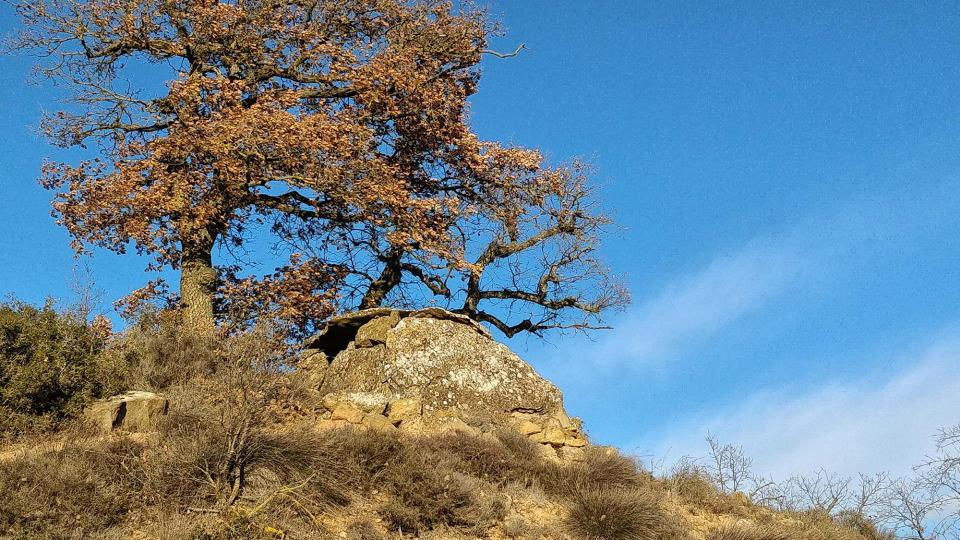 2 de Gener de 2018 Dolmen del collet de Su  Ardèvol -  Ramon Sunyer