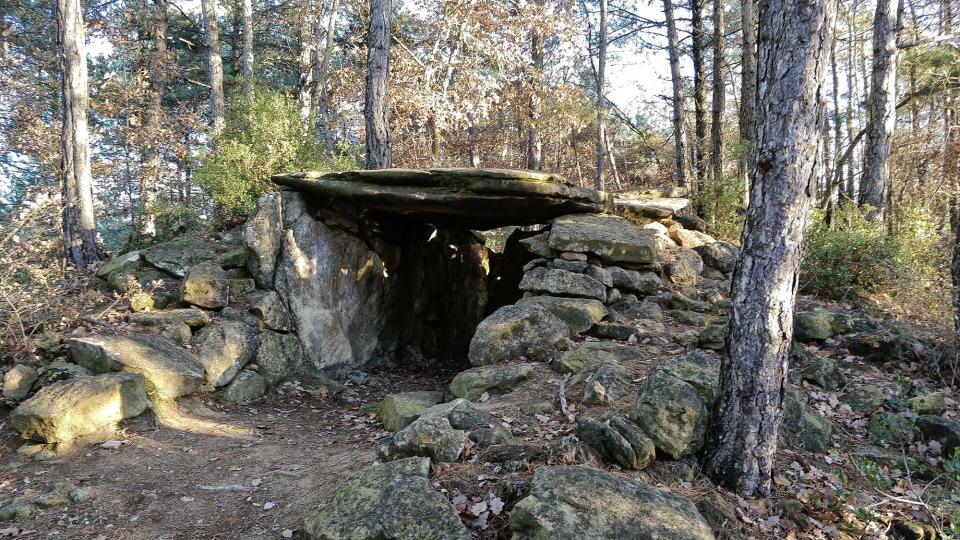 2 de Gener de 2018 Dolmen de la Pera  Ardèvol -  Ramon Sunyer