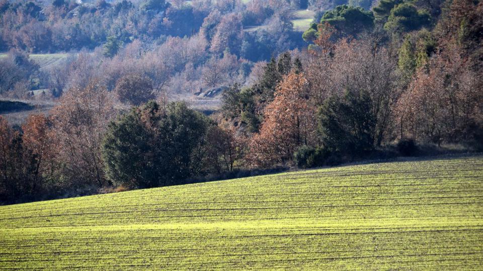 28 de Desembre de 2017 paisatge  Matamargó -  Ramon Sunyer