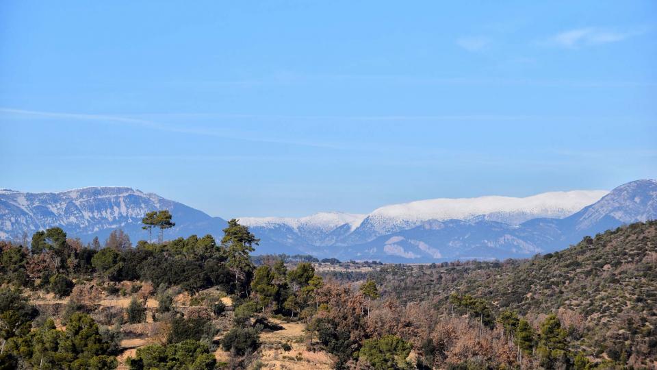 28 de Desembre de 2017 prepirineu  Matamargó -  Ramon Sunyer