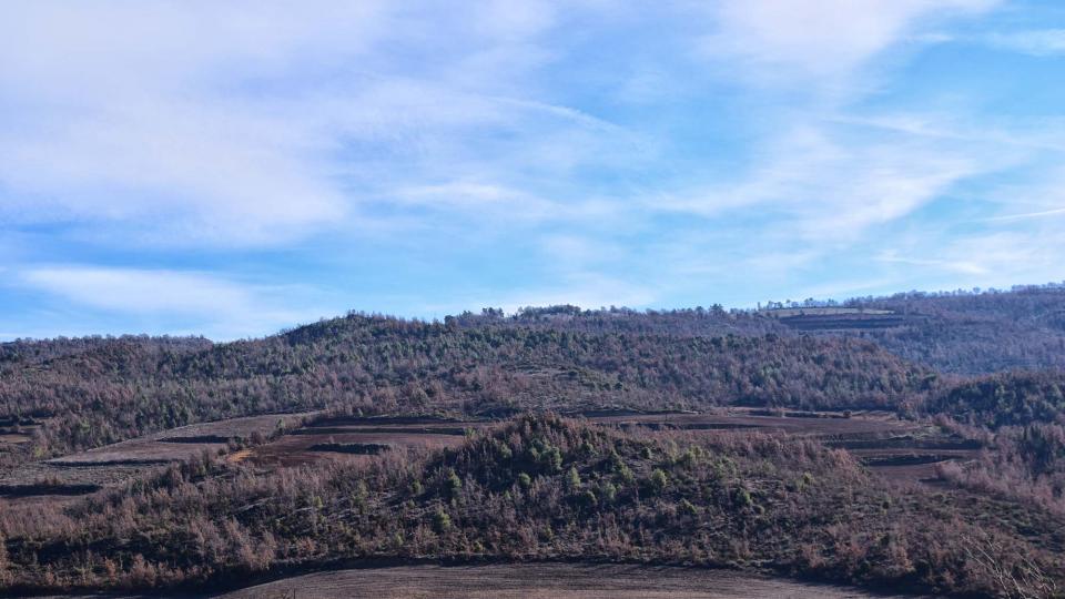 28 de Desembre de 2017 paisatge  Vallmanya -  Ramon Sunyer