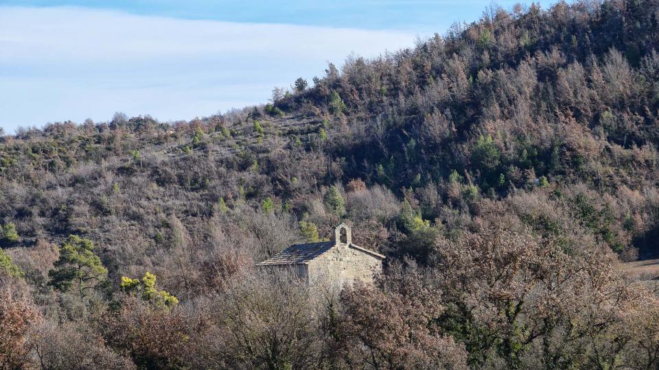 28 de Desembre de 2017 Sant Pelai de l'Oliva  Vallmanya -  Ramon Sunyer