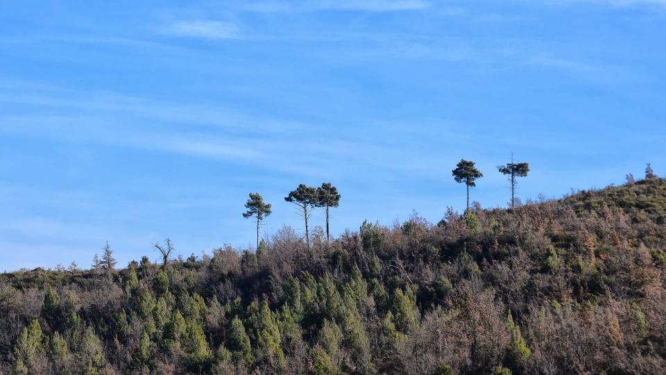 28 de Desembre de 2017 paisatge  Vallmanya -  Ramon Sunyer