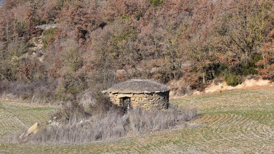 28 de Desembre de 2012 cabana  Prades de la Molsosa -  Ramon Sunyer