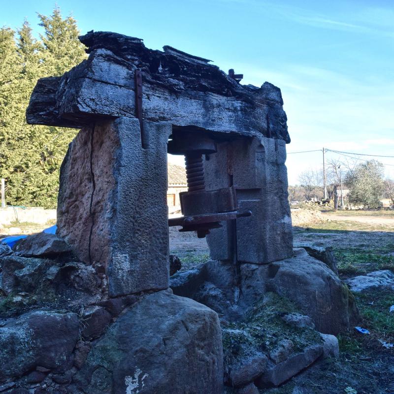 28 de Desembre de 2017   Freixinet -  Ramon Sunyer