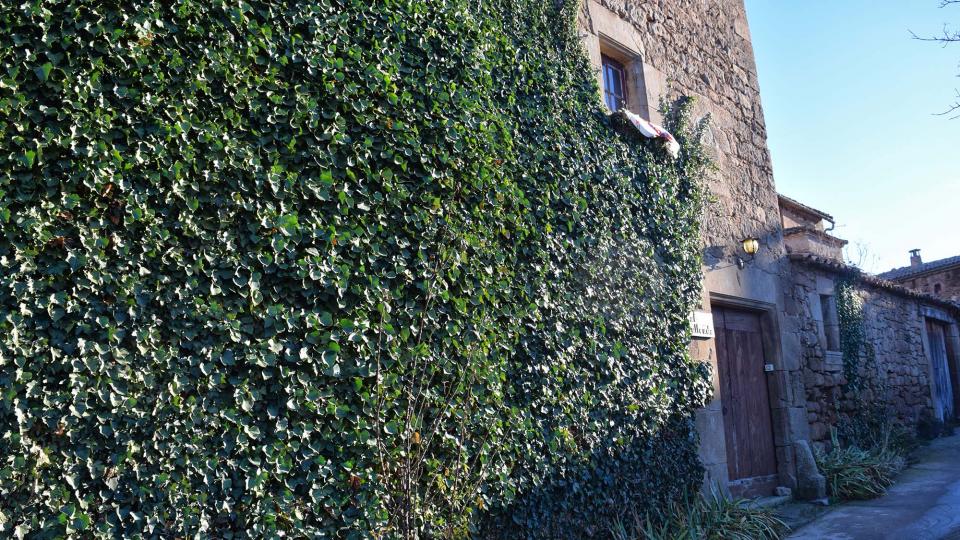 28 de Desembre de 2017   Freixinet -  Ramon Sunyer