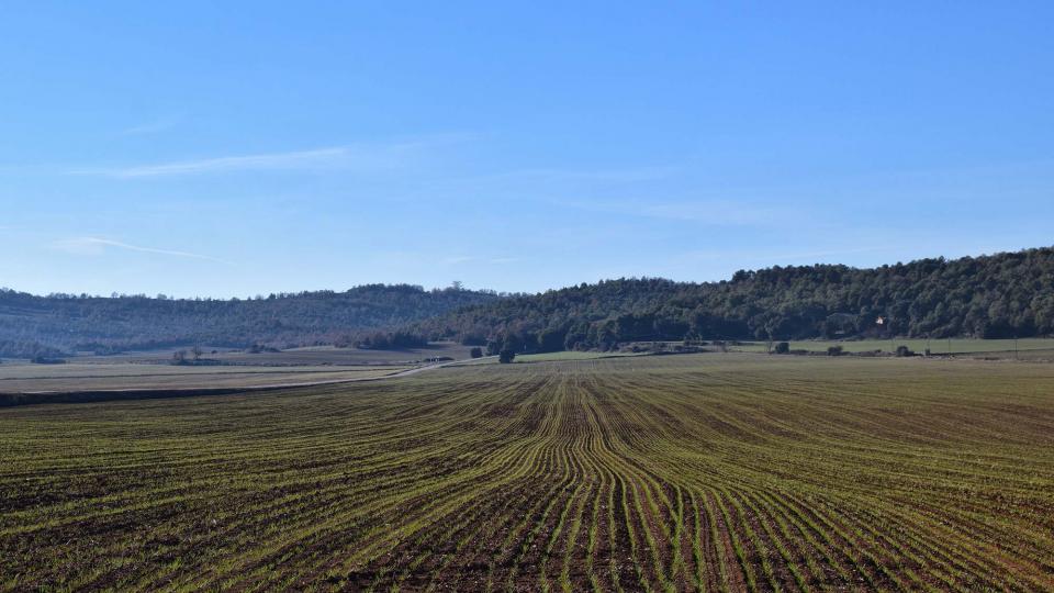 28 de Desembre de 2017 paisatge  Bergús -  Ramon Sunyer