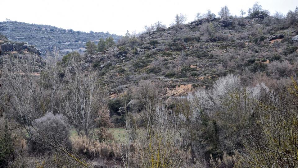 4 de Febrer de 2018 paisatge  Torà -  Ramon Sunyer