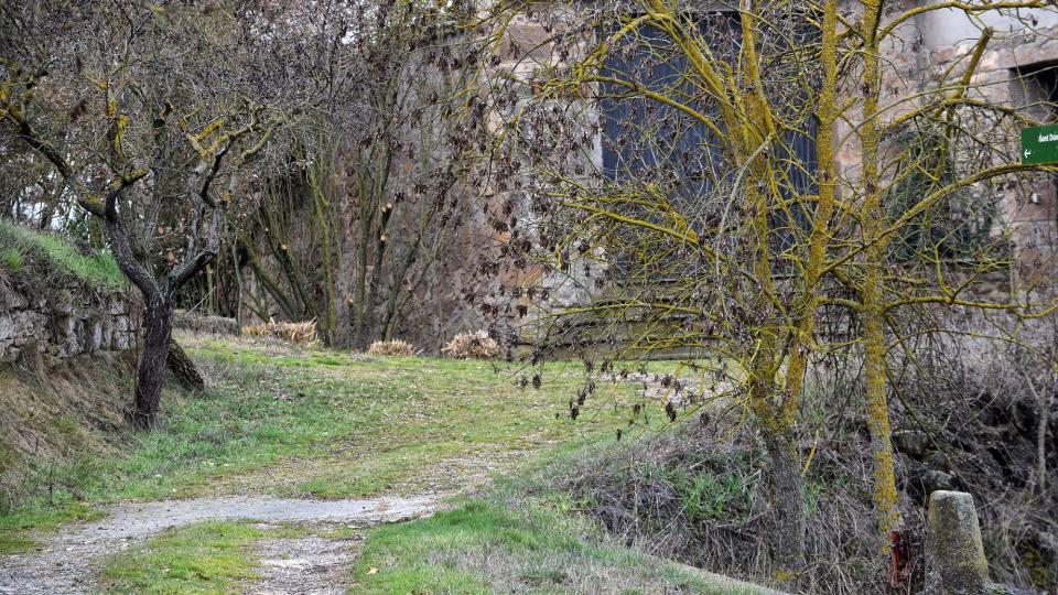 4 de Febrer de 2018 sembrats  Torà -  Ramon Sunyer