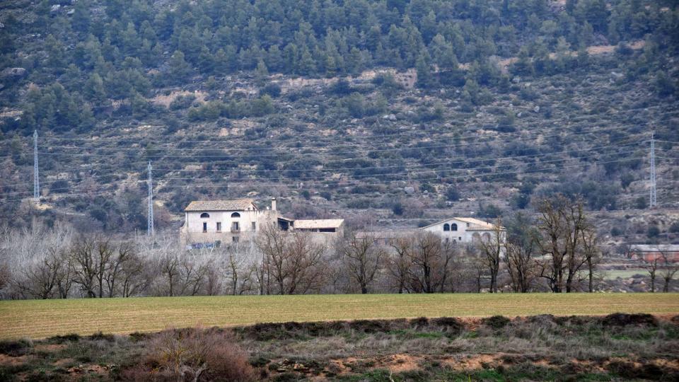 4 de Febrer de 2018 sembrats  Torà -  Ramon Sunyer