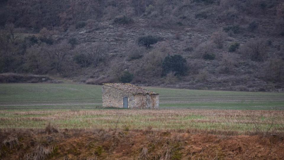 4 de Febrer de 2018 sembrats  Torà -  Ramon Sunyer