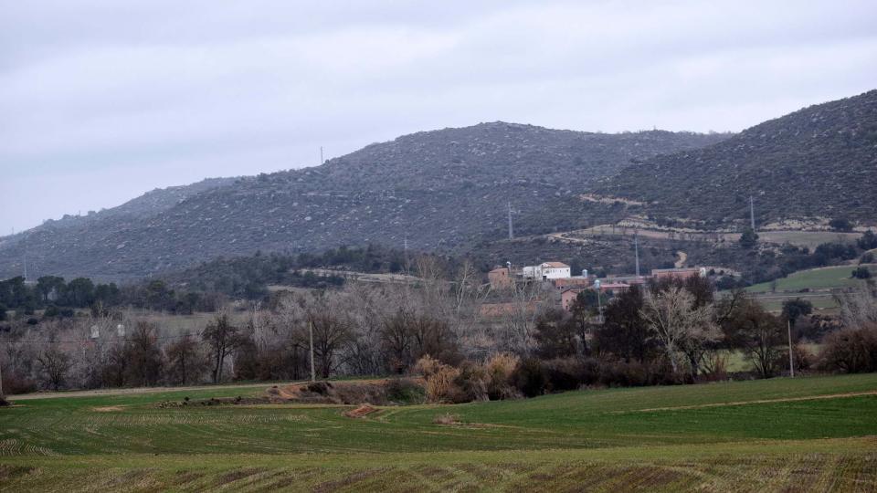 4 de Febrer de 2018 sembrats  Torà -  Ramon Sunyer