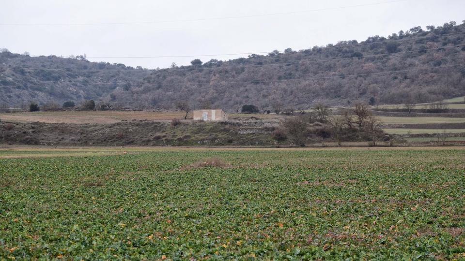 4 de Febrer de 2018 sembrats  Torà -  Ramon Sunyer