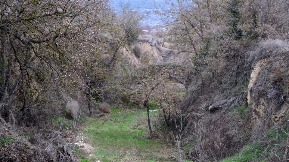 4 de Febrer de 2018 pont del Diable  Torà -  Ramon Sunyer