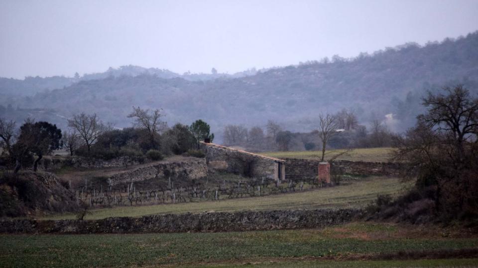 4 de Febrer de 2018 sembrats  Torà -  Ramon Sunyer