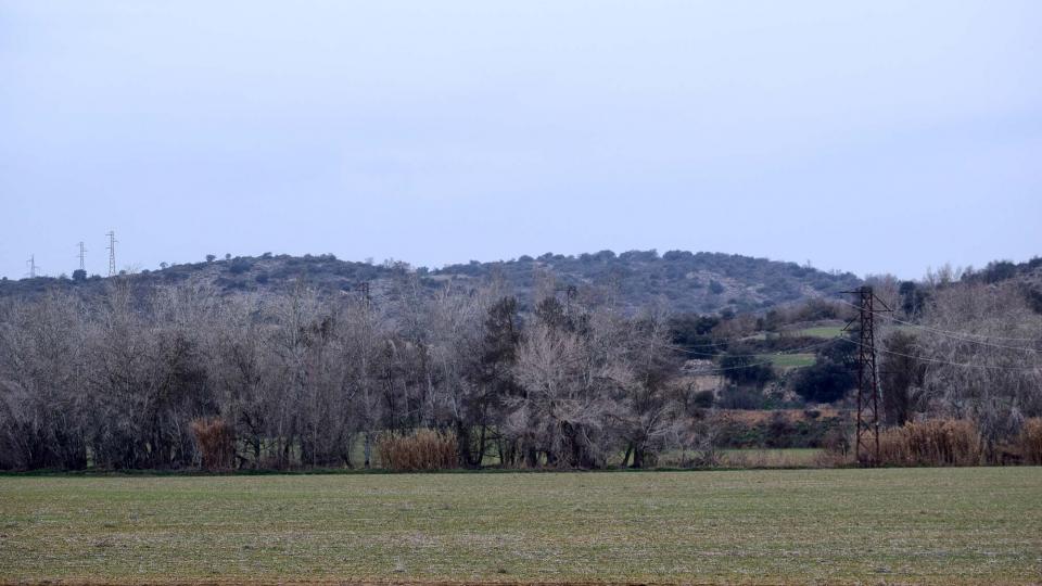 4 de Febrer de 2018 sembrats  Torà -  Ramon Sunyer