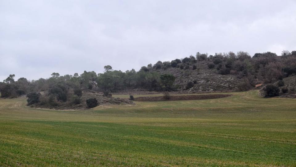 4 de Febrer de 2018 sembrats  Torà -  Ramon Sunyer