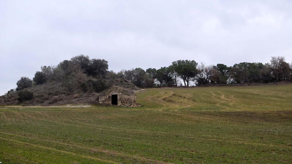 4 de Febrer de 2018 sembrats  Torà -  Ramon Sunyer