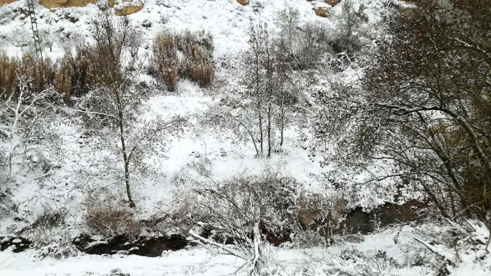 28.2.2018 El Llanera  Torà -  Àngela Sunyer