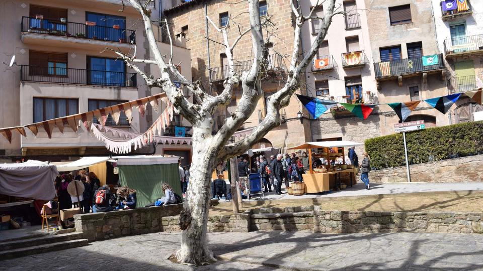 30 de Març de 2018 Plaça de la Font  Torà -  Ramon Sunyer
