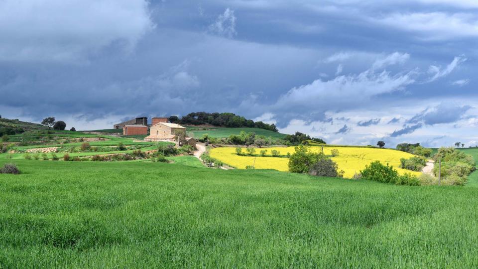 29 de Abril de 2018 Mas Barquets  Castellfollit de Riubregós -  Ramon Sunyer