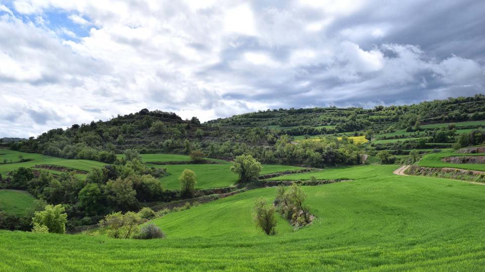 29 de Abril de 2018   Castellfollit de Riubregós -  Ramon Sunyer