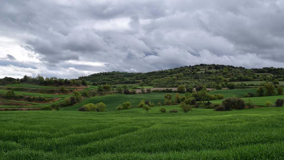 29 de Abril de 2018   Castellfollit de Riubregós -  Ramon Sunyer