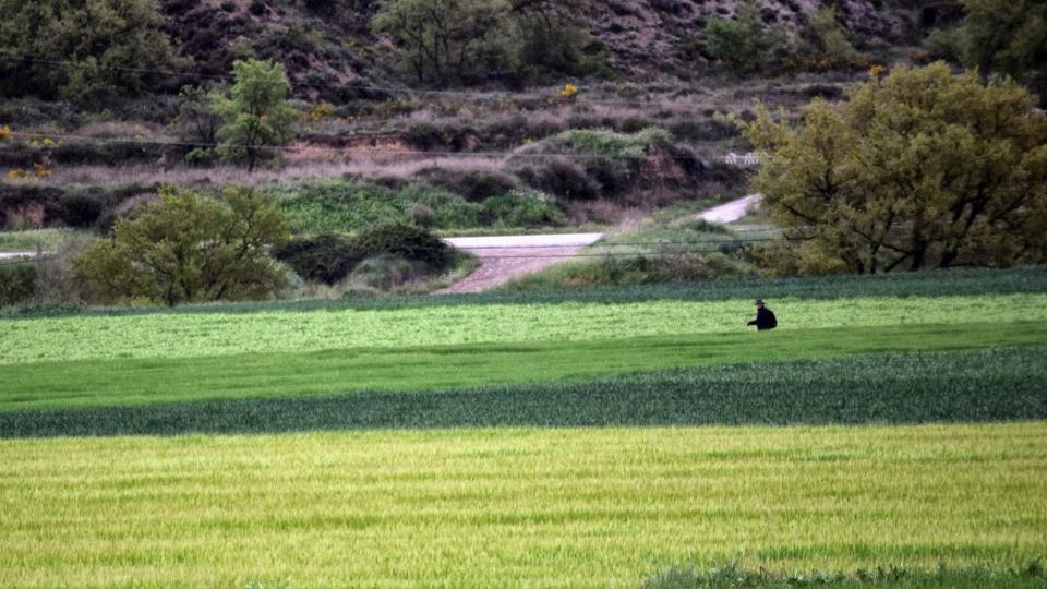 29 de Abril de 2018   Torà -  Ramon Sunyer