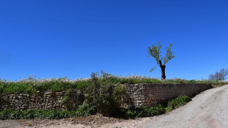 2 de Abril de 2017 paisatge  Castellfollit de Riubregós -  Ramon Sunyer