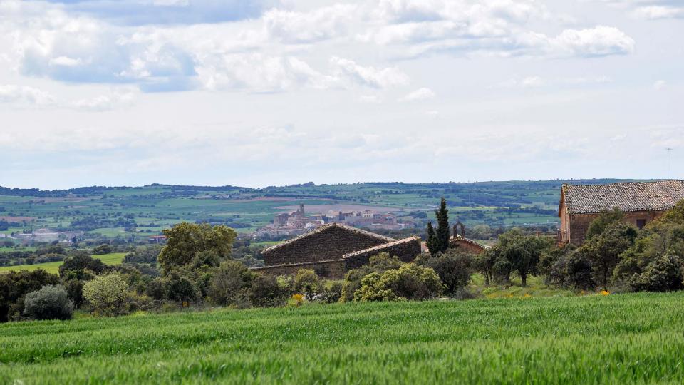 30 de Abril de 2018 Mas d'En Trilla  Renant -  Ramon Sunyer