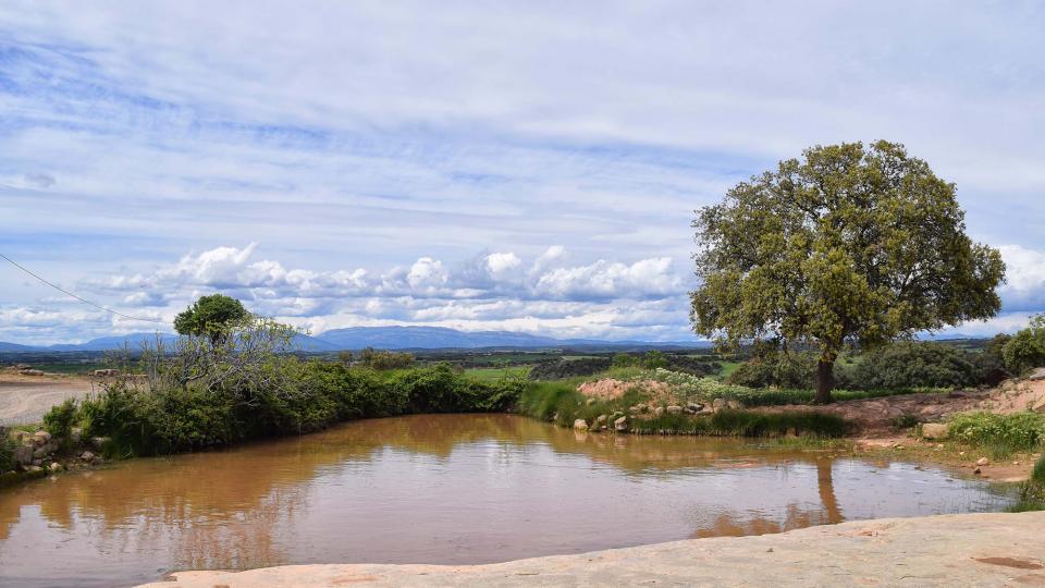 30 de Abril de 2018 Mas d'En Trilla  Renant -  Ramon Sunyer