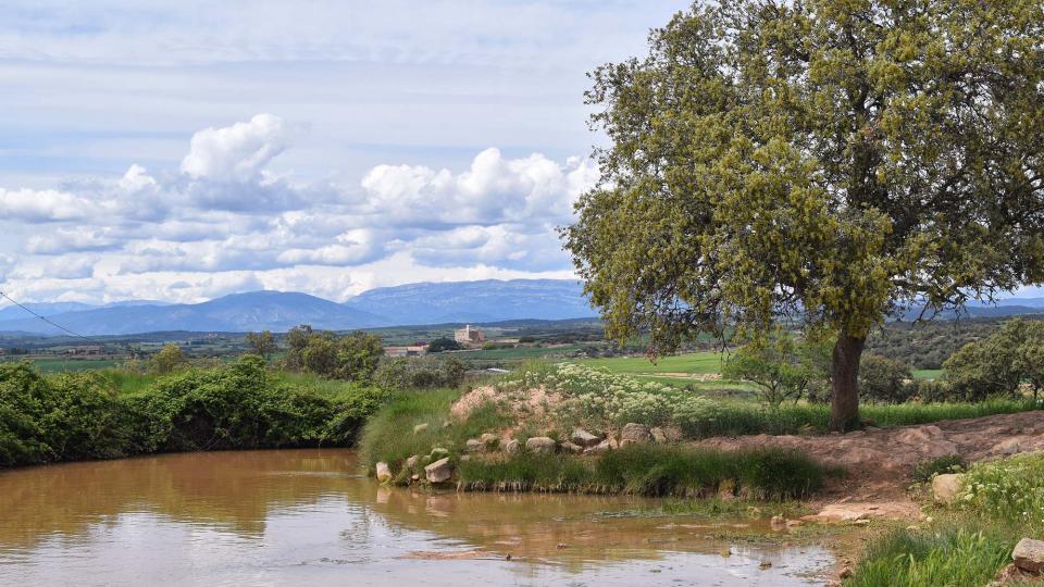 30 de Abril de 2018 Mas d'En Trilla  Renant -  Ramon Sunyer