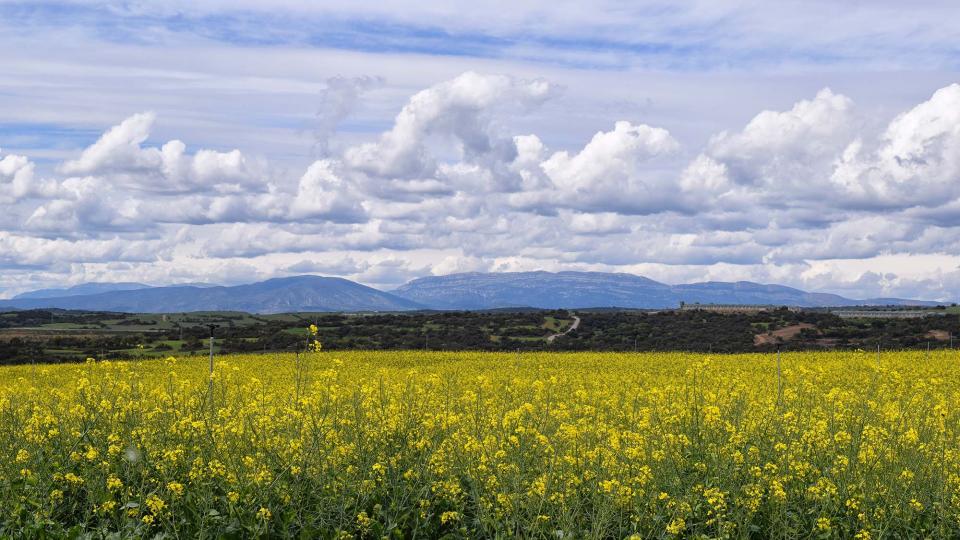 30 de Abril de 2018 vista del Montsec  Coscó -  Ramon Sunyer
