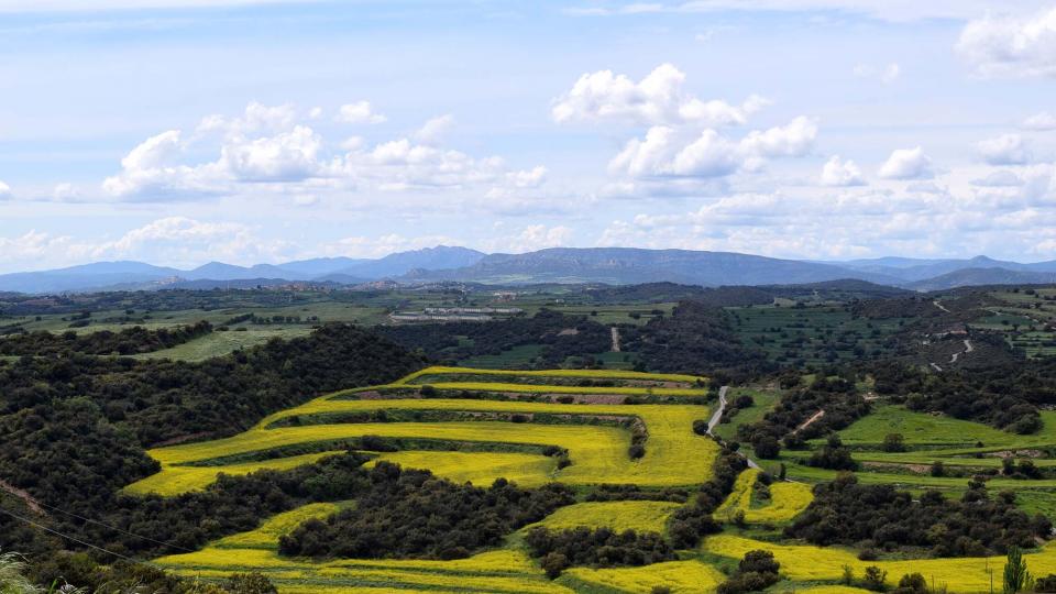 30 de Abril de 2018   Coscó -  Ramon Sunyer