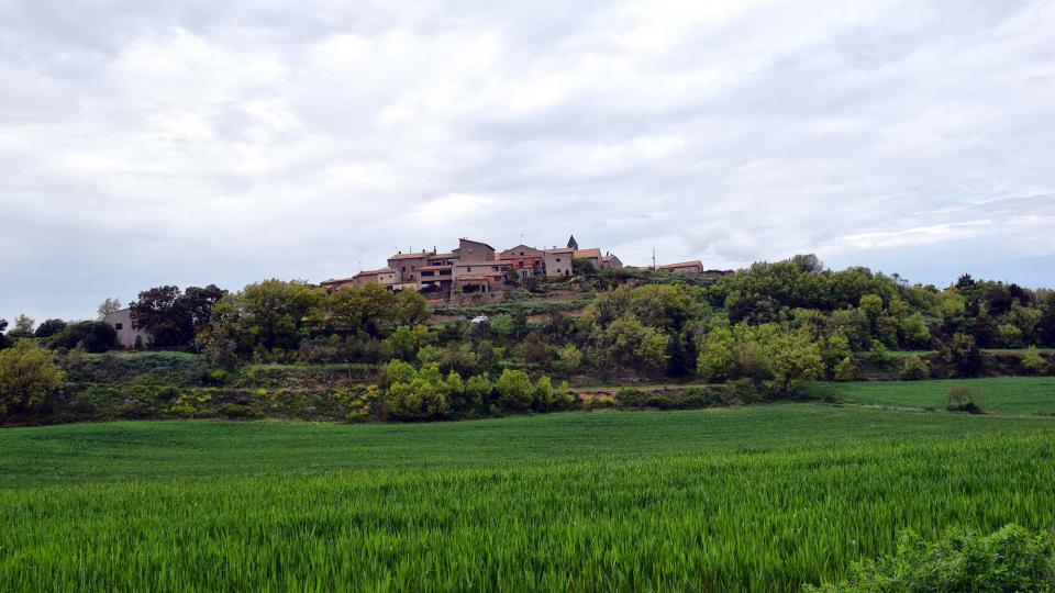 6 de Maig de 2018   Prades de la Molsosa -  Ramon Sunyer