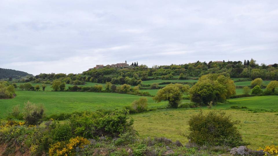 6 de Maig de 2018   Prades de la Molsosa -  Ramon Sunyer