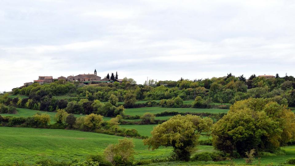 6 de Maig de 2018   Prades de la Molsosa -  Ramon Sunyer