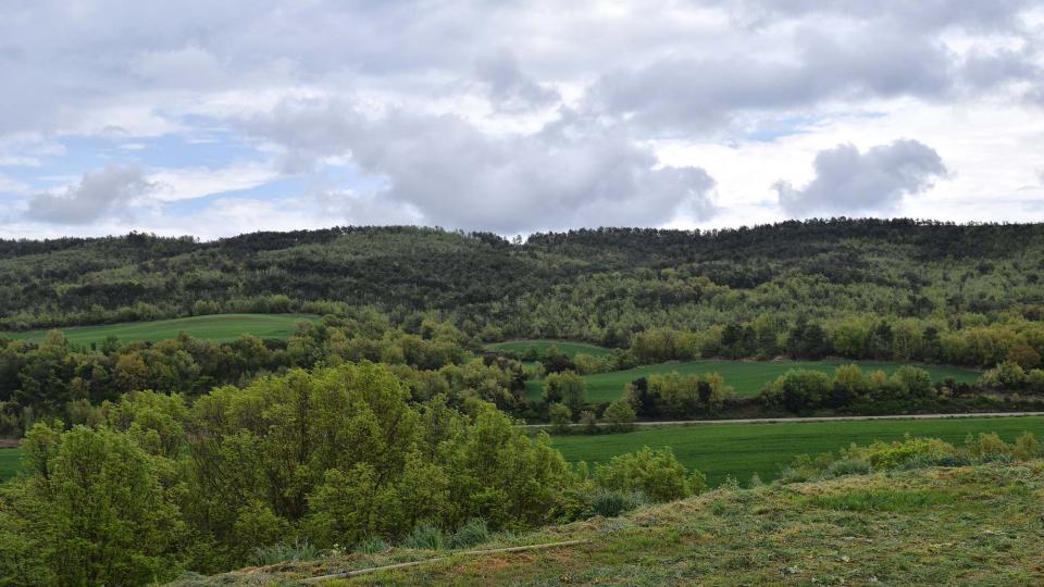 6 de Maig de 2018   Prades de la Molsosa -  Ramon Sunyer