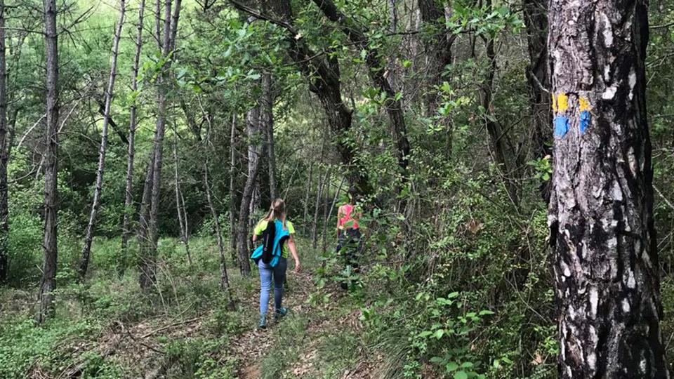 23 de Maig de 2018 Caminant a la font de Ternàs  Fontanet -  APACTorà