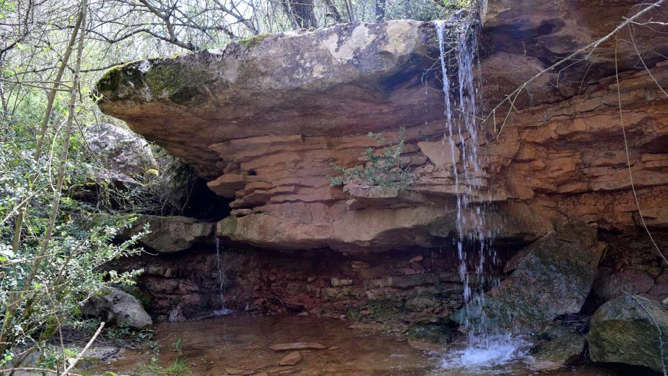 22 de Abril de 2018 Toll a la rasa del castell  Llanera -  Ramon Sunyer