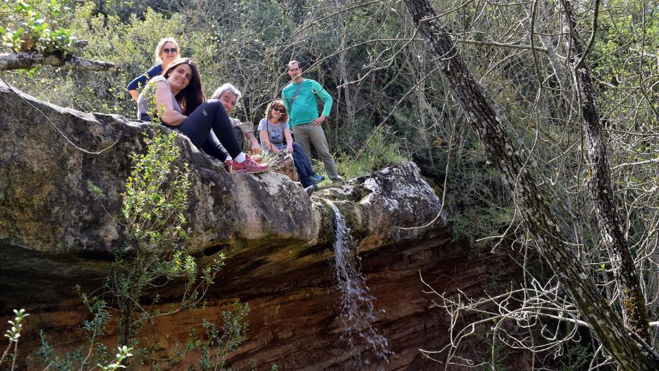 22.4.2018 Gaudint el paisatge  Llanera -  Ramon Sunyer