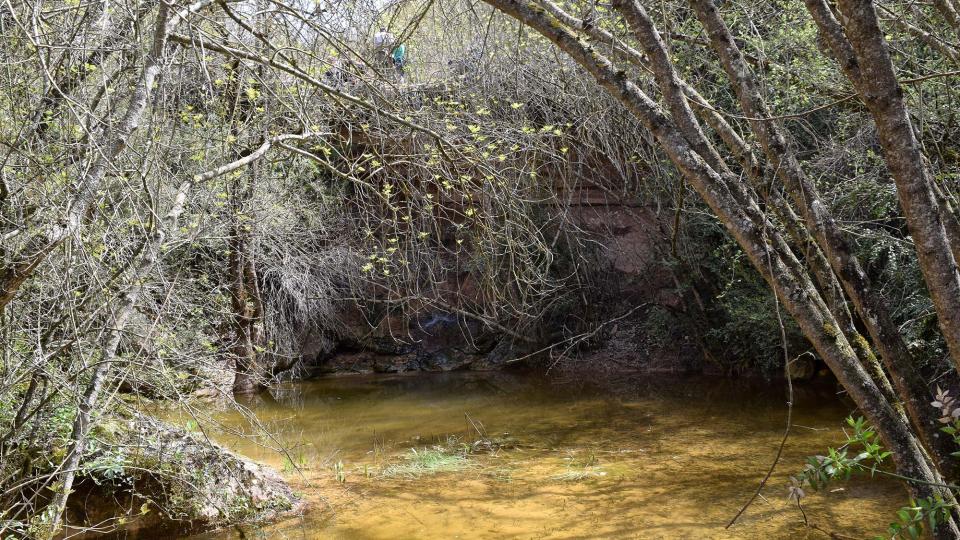 22 de Abril de 2018 Toll a la rasa del castell  Llanera -  Ramon Sunyer