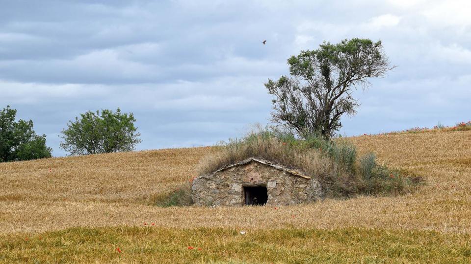 10 de Juny de 2018 cabana  Torà -  Ramon Sunyer