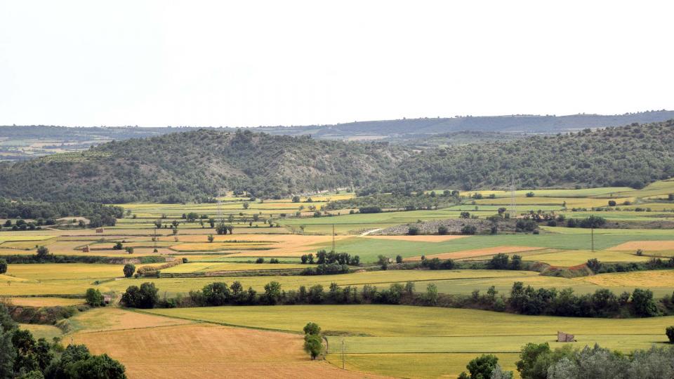 10 de Juny de 2018 Els Plans  Torà -  Ramon Sunyer