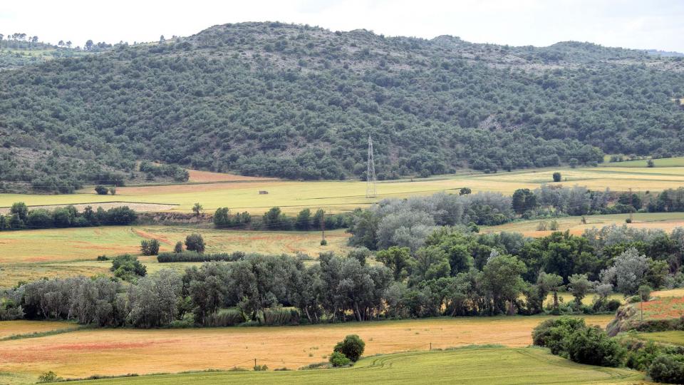 10 de Juny de 2018 El curs del Llobregós a les Pompúries  Torà -  Ramon Sunyer