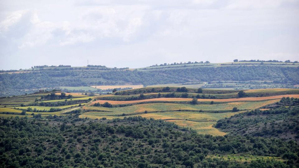 10 de Juny de 2018 Els Morinyols  Torà -  Ramon Sunyer