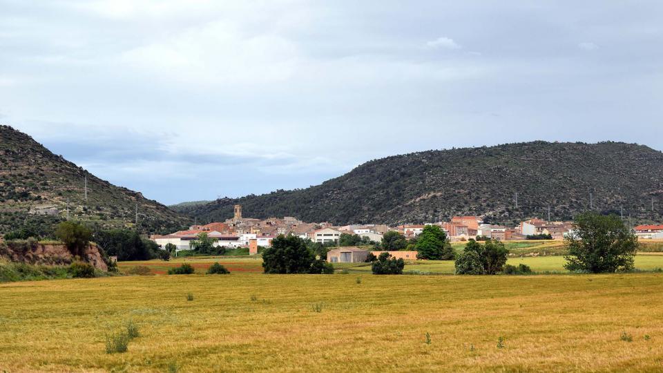 10 de Juny de 2018   Torà -  Ramon Sunyer