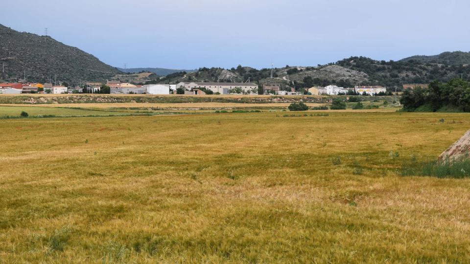 10 de Juny de 2018   Torà -  Ramon Sunyer