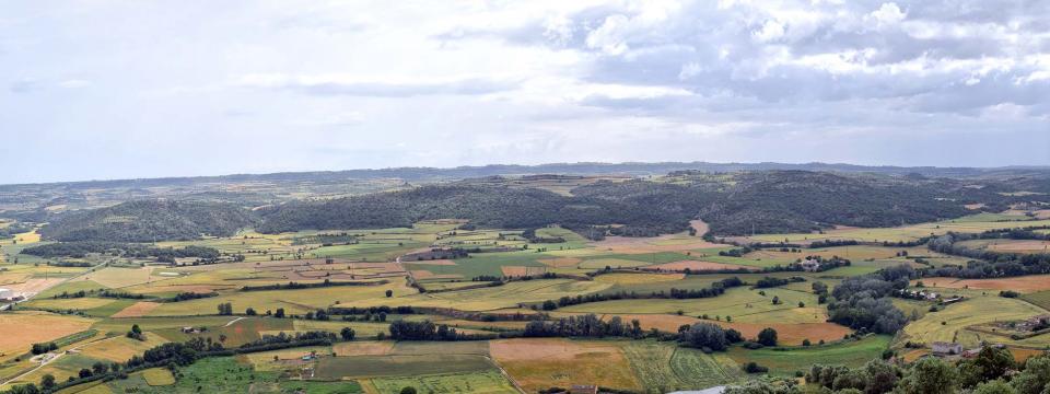 10 de Juny de 2018 El curs del Llobregós  Torà -  Ramon Sunyer